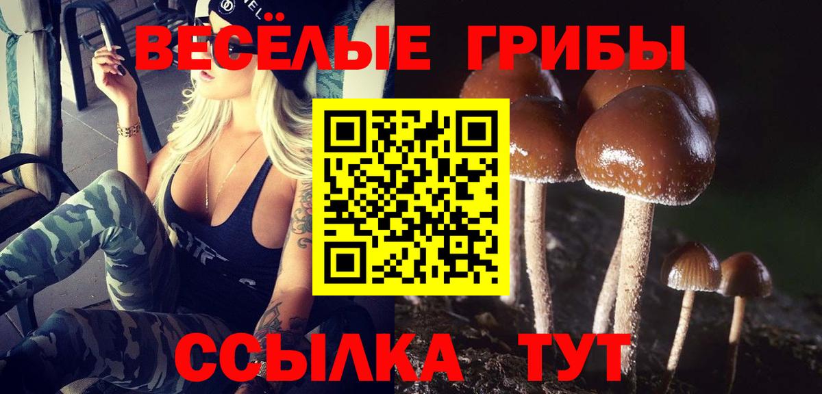 Домодедово  где можно купить наркотик  Вход с VPN  Галлюциногенные грибы мицелий  Галлюциногенные грибы GOLDEN TEACHER 