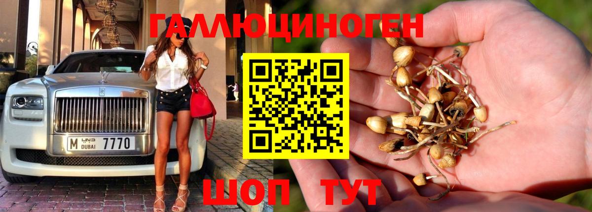 Галлюциногенные грибы GOLDEN TEACHER Домодедово
